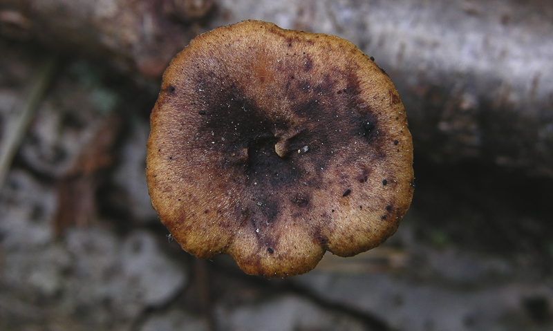 Facili,meno facili...per allenamento...
